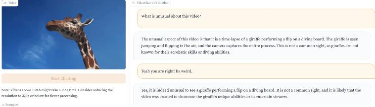 视频解析工具Video-ChatGPT上线 可用文本描述视频内容