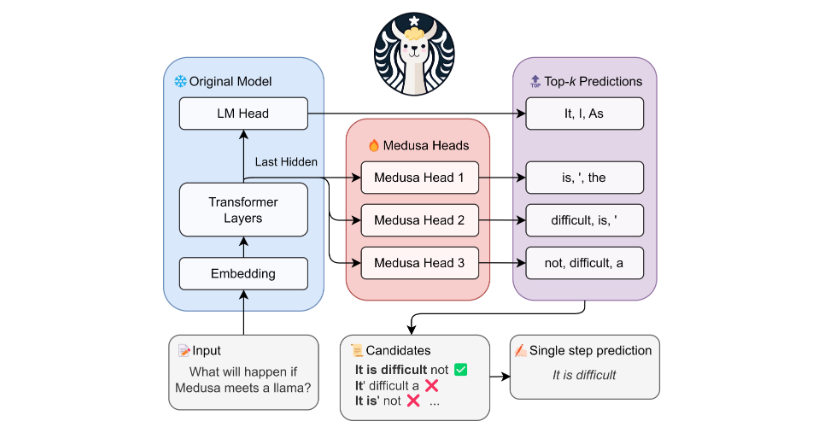 华人团队推出Medusa简单框架 可将LLM推理速度提高2倍