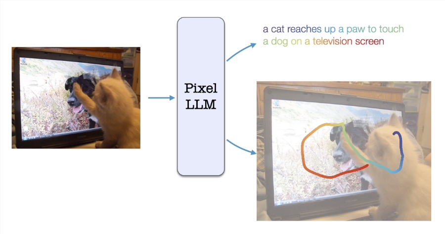 谷歌AI提出视觉语言模型PixelLLM:能够进行细粒度定位和视觉语言对齐