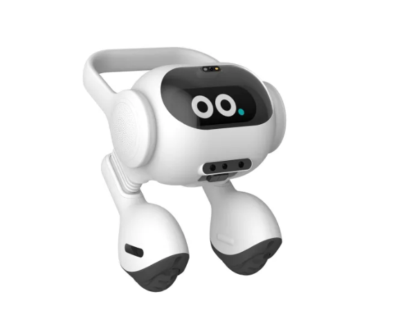LG 开发了一款 AI 双足机器人，可以帮忙照看宠物
